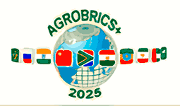 brics